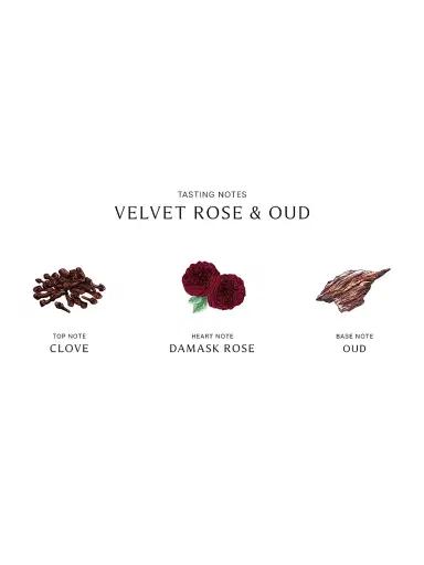 Jo Malone London Velvet Rose & Oud Cologne Intense - Size 3.4 oz | Thumbnail 4 Jo Malone London Velvet Rose & Oud Cologne Intense - Size 3.4 oz | Thumbnail 4
