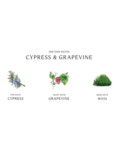 Jo Malone London Cypress & Grapevine Cologne Intense - Size 3.4 oz | Thumbnail 4
