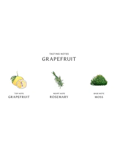 Jo Malone London Grapefruit Cologne - Size 3.4 oz | Thumbnail 4 Jo Malone London Grapefruit Cologne - Size 3.4 oz | Thumbnail 4