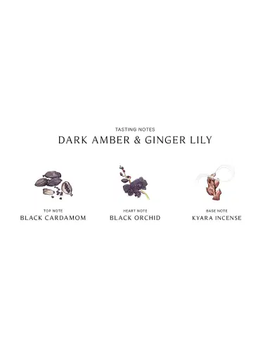 Jo Malone London Women's Dark Amber & Ginger Lily Cologne Intense - Size 3.4 oz | Thumbnail 4 Jo Malone London Women's Dark Amber & Ginger Lily Cologne Intense - Size 3.4 oz | Thumbnail 4