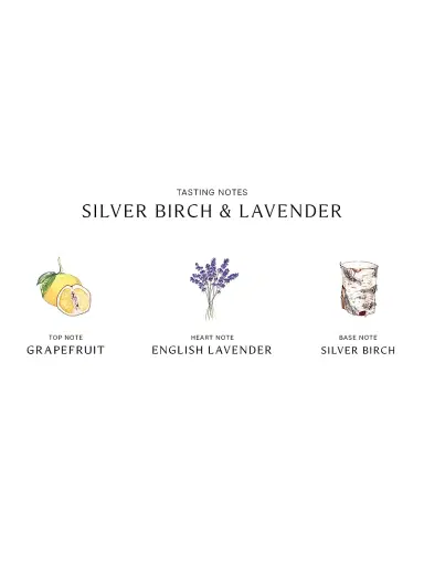Jo Malone London Women's Silver Birch & Lavender Cologne - Size 3.4 oz | Thumbnail 4