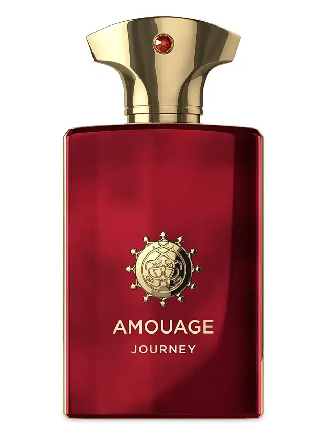 Men's Journey Eau De Parfum 3.4 oz