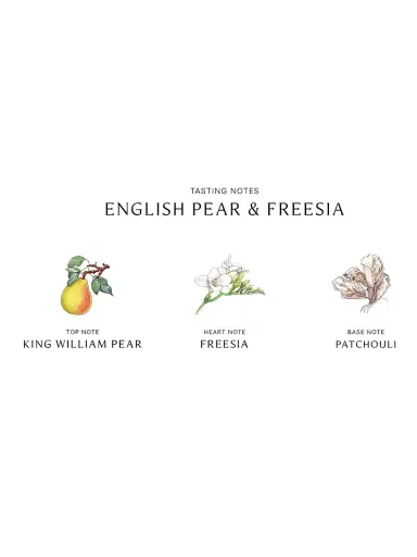 Jo Malone London English Pear & Freesia Classic Candle | Thumbnail 5 Jo Malone London English Pear & Freesia Classic Candle | Thumbnail 5