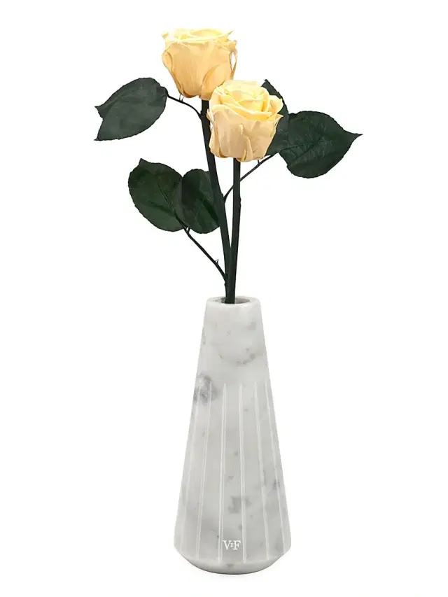 Ela Eternity Rose Marble Vase - Champagne