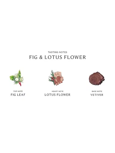 Jo Malone London Women's Fig & Lotus Flower Cologne - Size 3.4 oz | Thumbnail 3 Jo Malone London Women's Fig & Lotus Flower Cologne - Size 3.4 oz | Thumbnail 3
