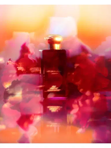 Jo Malone London Red Hibiscus Cologne Intense - Size 3.4 oz | Thumbnail 5 Jo Malone London Red Hibiscus Cologne Intense - Size 3.4 oz | Thumbnail 5