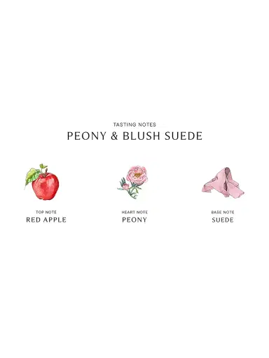 Jo Malone London Peony & Blush Suede Candle | Thumbnail 4