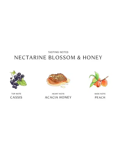 Jo Malone London Nectarine Blossom & Honey Home Candle No Size | Thumbnail 5