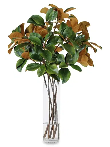 Winward Home Everyday Imitation Magnolia Leaf Florals In Glass Vase | Thumbnail 1 Winward Home Everyday Imitation Magnolia Leaf Florals In Glass Vase | Thumbnail 1