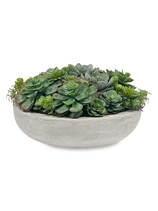 Winward Home Imitation Succulent Mix In Round Bowl
