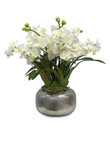 Winward Home Imitation Vanda Orchid In Pot | Thumbnail 1