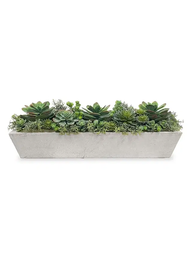Winward Home Imitation Succulent Mix In Long Pot