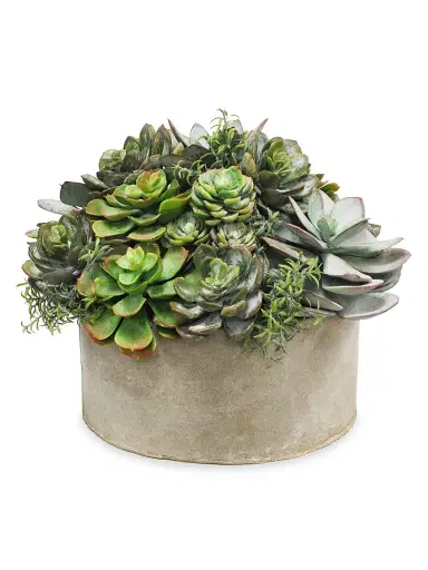 Winward Home Everyday Garden Planter Mix Succulent | Thumbnail 1