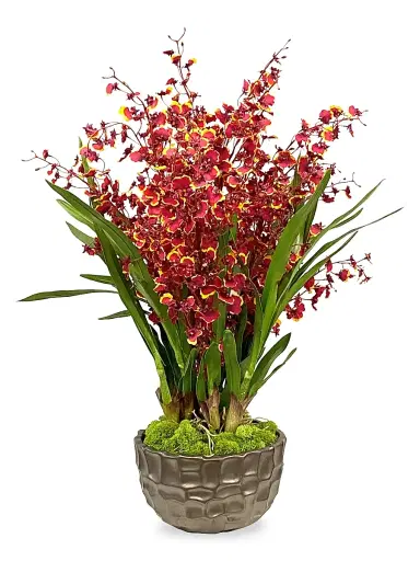Winward Home Permanent Botanicals Imitation Dancing Lady Orchid In Modern Bowl | Thumbnail 1 Winward Home Permanent Botanicals Imitation Dancing Lady Orchid In Modern Bowl | Thumbnail 1