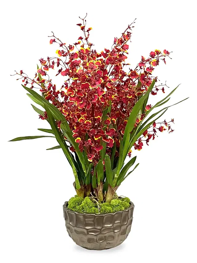 Winward Home Permanent Botanicals Imitation Dancing Lady Orchid In Modern Bowl - Burgundy