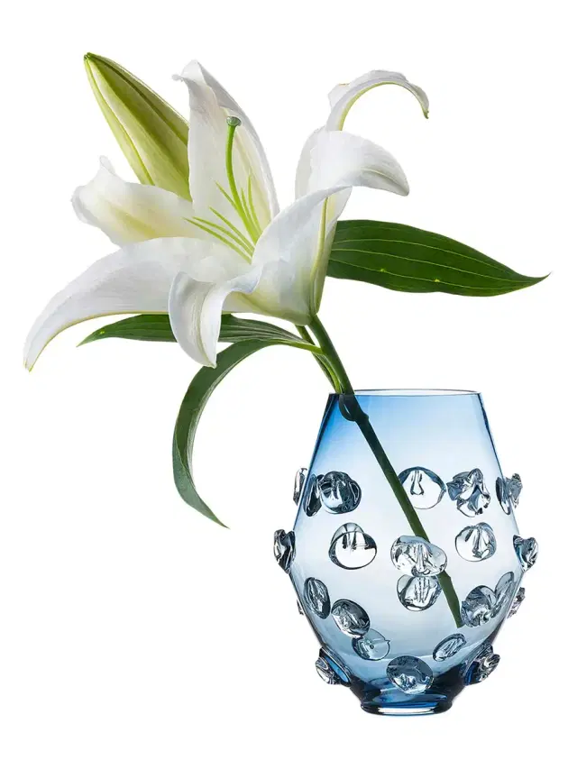 Florence Glass Vase/6"