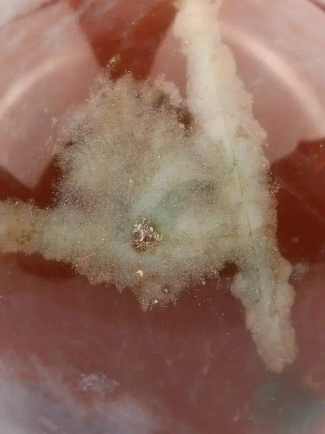 Sardonyx Sphere - Brown