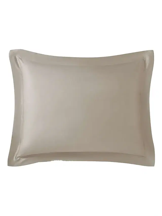 Natural Premium Bamboo Sham Set - Taupe King