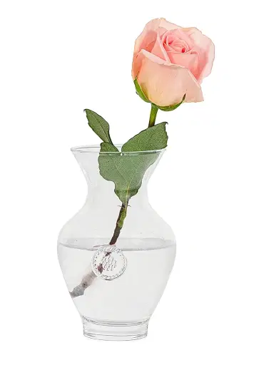 Juliska Berry & Thread Vase/7" - Clear | Thumbnail 2