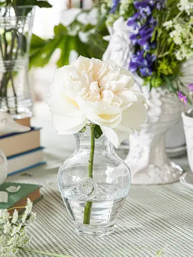 Juliska Berry & Thread Vase/7" - Clear | Thumbnail 6