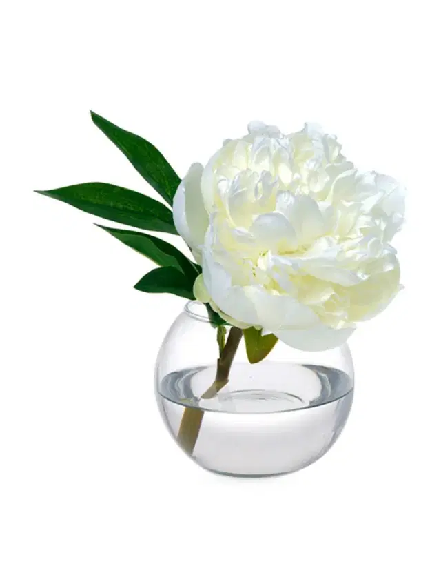 Peony Blossom In Glass Bowl - White