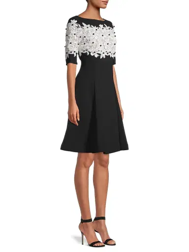 Shani Women's Lace Fit & Flare Crepe A-Line Dress - Black White - Size 6 | Thumbnail 4