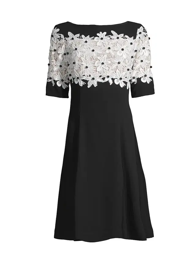 Shani Women's Lace Fit & Flare Crepe A-Line Dress - Black White