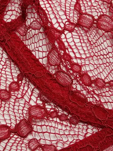 Kiki de Montparnasse Women's Mon Cheri Sheer Lace Demi Bra - Red - Size 36D | Thumbnail 6