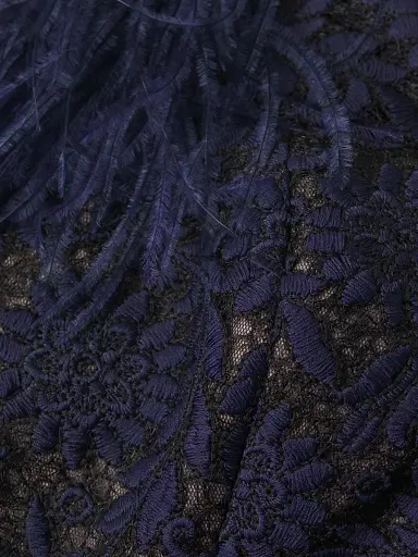 Shani Women's Feathers Lace Minidress - Navy Beige - Size 10 | Thumbnail 6 Shani Women's Feathers Lace Minidress - Navy Beige - Size 10 | Thumbnail 6