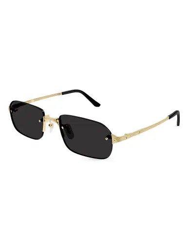 Cartier Men's Santos Classic 56MM Rectangular Sunglasses - Gold Black | Thumbnail 1