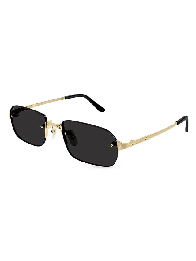 Cartier Men's Santos Classic 56MM Rectangular Sunglasses - Gold Black