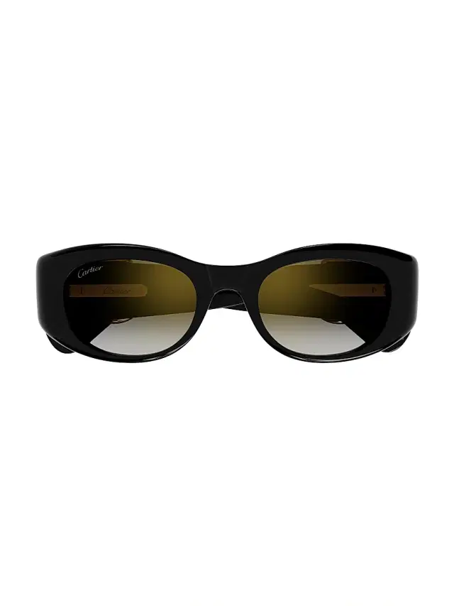 Cartier Women's Panthère Evolution 51MM Acetate Cat-Eye Sunglasses - Black Grey Gradient
