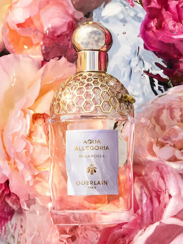 Women's Aqua Allegoria Rosa Rossa Eau de Parfum Refill 6.7 oz