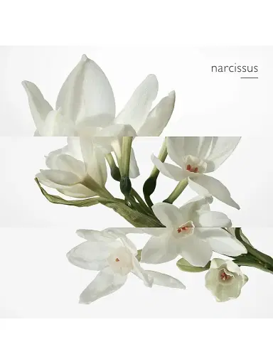 HERMÈS Eau de narcisse bleu Eau de Cologne Spray No Size | Thumbnail 3