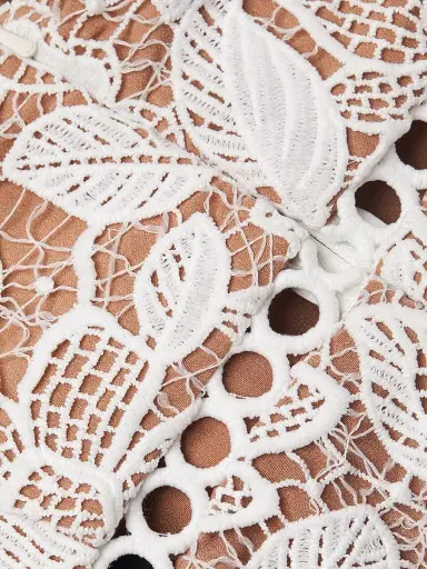 Elliatt Women's Optics Floral Lace Peplum Dress - Ivory - Size XS | Thumbnail 6