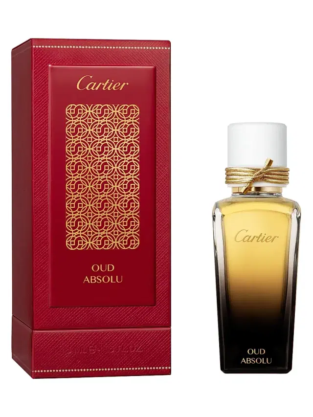 Men's Oud Absolu Eau de Parfum