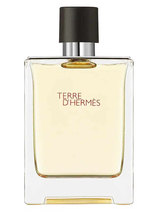 HERMÈS Men's Terre d'Hermes Eau de Toilette 6.7 oz
