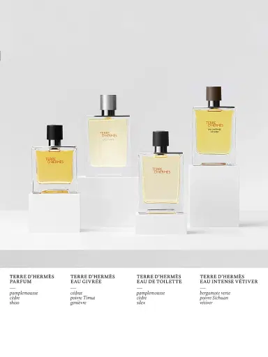 HERMÈS Women's Terre D'hermès Parfum 6.7 oz | Thumbnail 3