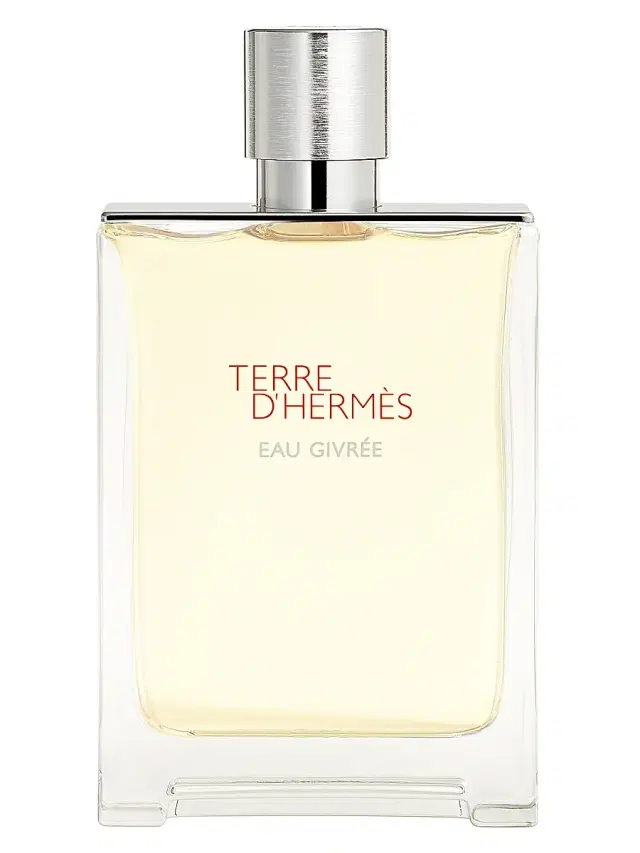 HERMÈS Men's Terre d'Hermès Eau Givrée Eau de Parfum 6 oz.
