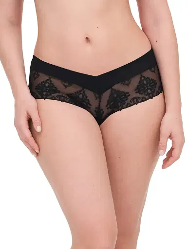 Chantelle Women's Champs Elysse Lace Embroidered Hipster | Thumbnail 3 Chantelle Women's Champs Elysse Lace Embroidered Hipster | Thumbnail 3