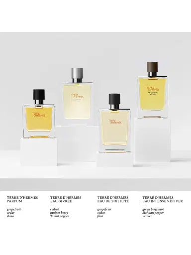 HERMÈS Men's Terre d'Hermes Eau de Toilette - Size 1.7 oz | Thumbnail 4