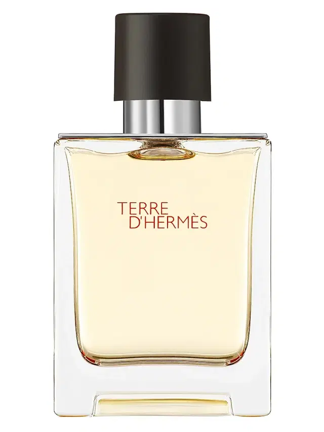 HERMÈS Men's Terre d'Hermes Eau de Toilette 1.7 oz