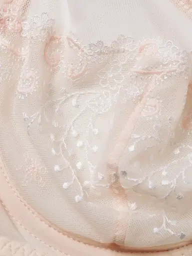 Simone Pérèle Women's Delice Sheer Plunge Bra | Thumbnail 6