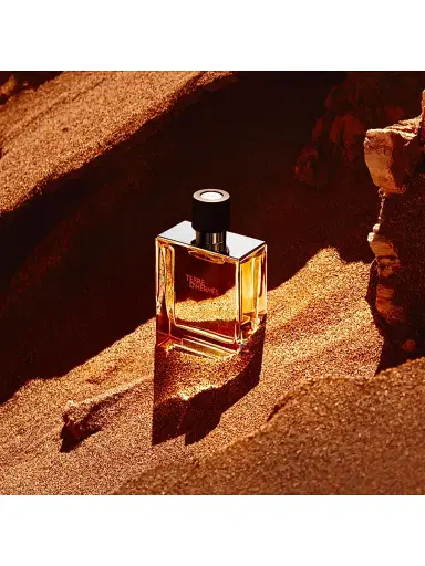 HERMÈS Men's Terre d'Hermès Perfume - Size 2.5 oz | Thumbnail 4 HERMÈS Men's Terre d'Hermès Perfume - Size 2.5 oz | Thumbnail 4