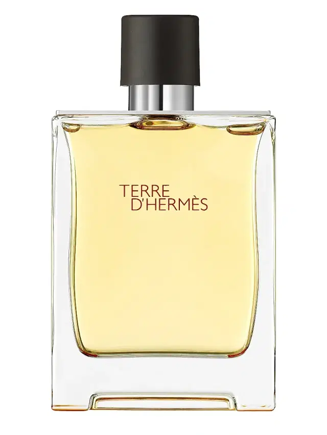 HERMÈS Men's Terre d'Hermès Perfume 2.5 oz