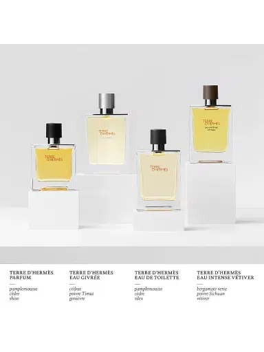 HERMÈS Men's Terre D'Hermès Eau Intense Vetiver | Thumbnail 3