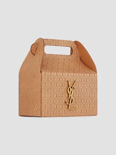 Saint Laurent Women's Take Away Box in Calf Leather | Thumbnail 4