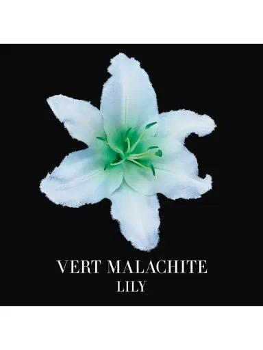 Armani Beauty Women's Vert Malachite Eau de Parfum | Thumbnail 2 Armani Beauty Women's Vert Malachite Eau de Parfum | Thumbnail 2
