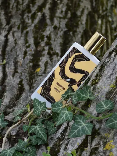 Memo Paris Graines Vagabondes Sherwood Eau de Parfum | Thumbnail 4