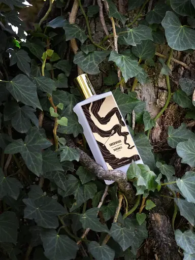 Memo Paris Graines Vagabondes Sherwood Eau de Parfum | Thumbnail 5